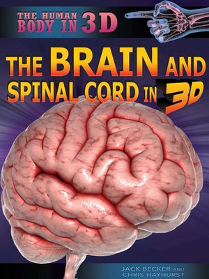 cover image of The Brain and Spinal Cord in 3D